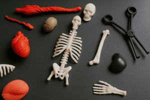 Kesehatan tulang dan gigi - mecare.id